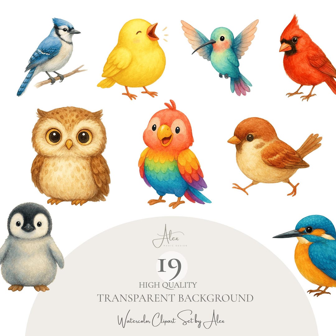 Whimsy Cardinal Vector Whimsical Bird Clipart Set, Cute Bird PNG Bundle, Colorful Owl ...