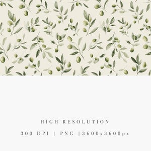 May include: Watercolor pattern featuring olive branches with green olives and leaves on a cream background. The design is repeated across the top of the image. The bottom of the image contains the text "HIGH RESOLUTION" and "300 DPI | PNG | 3600 x 3600 px".