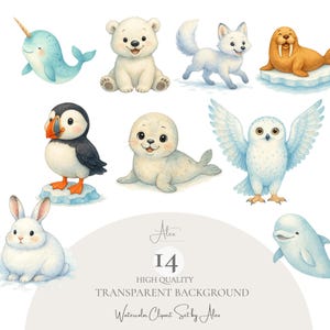 Puede incluir: Ilustraciones de acuarela de animales árticos, incluyendo un narval, un oso polar, un zorro ártico, una morsa, un frailecillo, una foca, un búho, un conejo y una beluga. El texto "I4 HIGH QUALITY TRANSPARENT BACKGROUND Watercolor Clipart Set by Alex."
