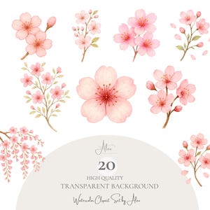 Cherry Blossom Clipart Set PNG, Sakura Flower Graphics, Fast Download, Commercial Use, Pink Floral Clipart, Cherry Blossom PNG