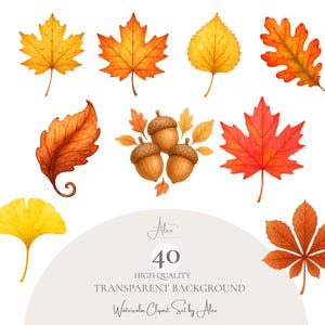 Puede incluir: Ilustración en acuarela de hojas de otoño y bellotas en tonos amarillos, naranjas y rojos. La imagen incluye varias formas de hojas y el texto "40 High Quality Transparent Background Watercolor Clipart Set by Alex."