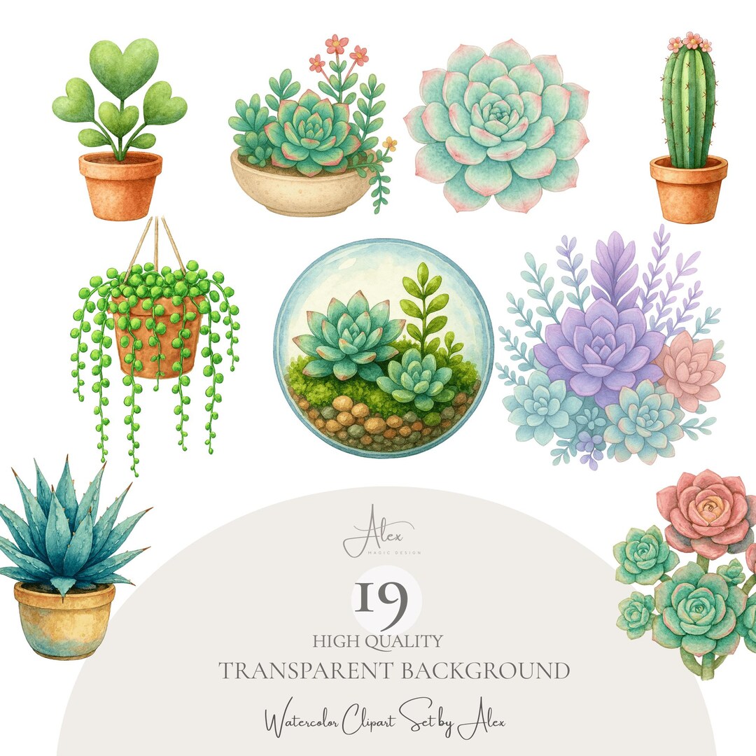 Succulent Clipart Bundle, Cactus PNG Set, Boho Greenery Clip Art, Fast ...