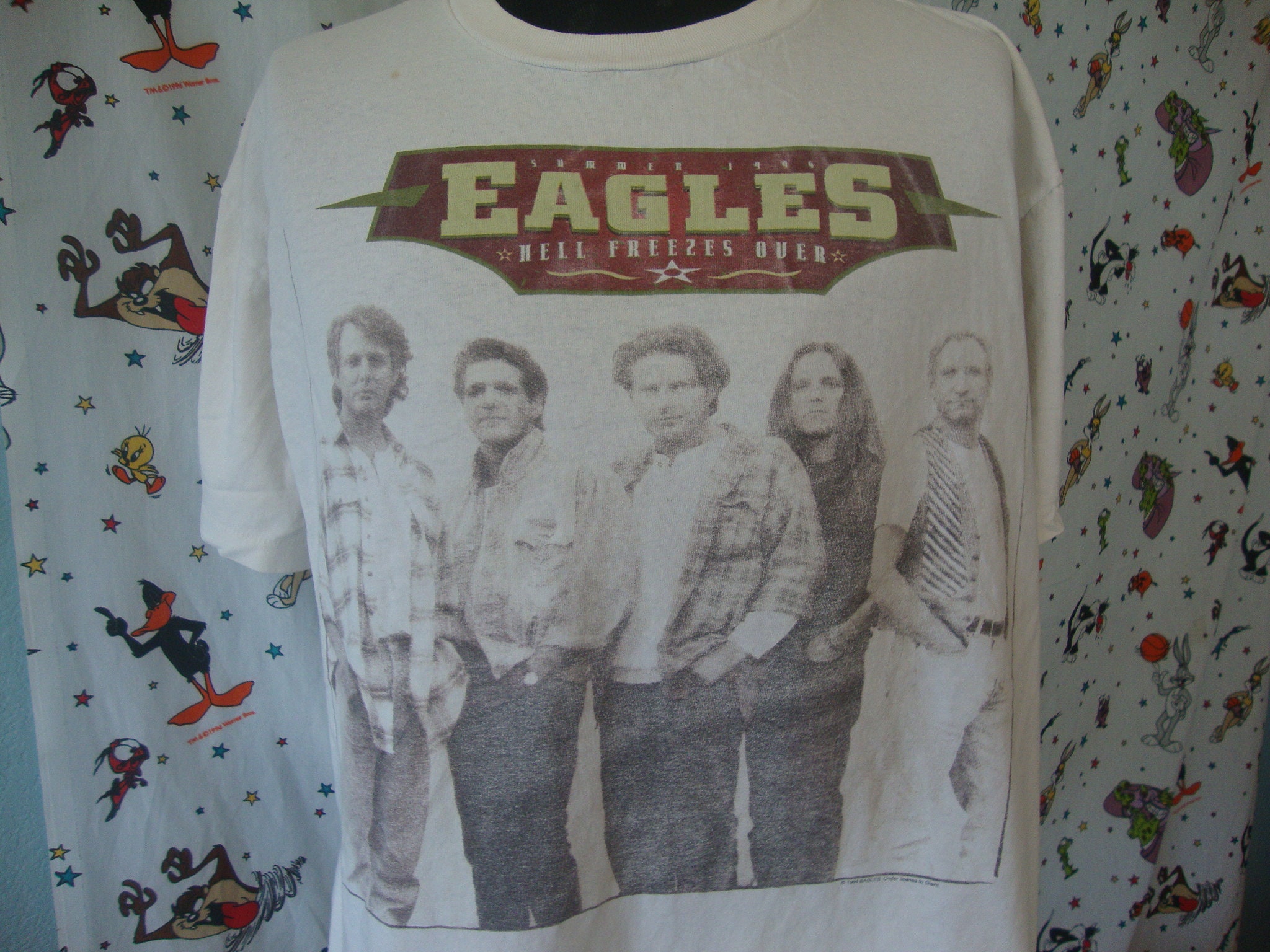 Eagles Hell Freezes Over Tour Tshirt - Etsy
