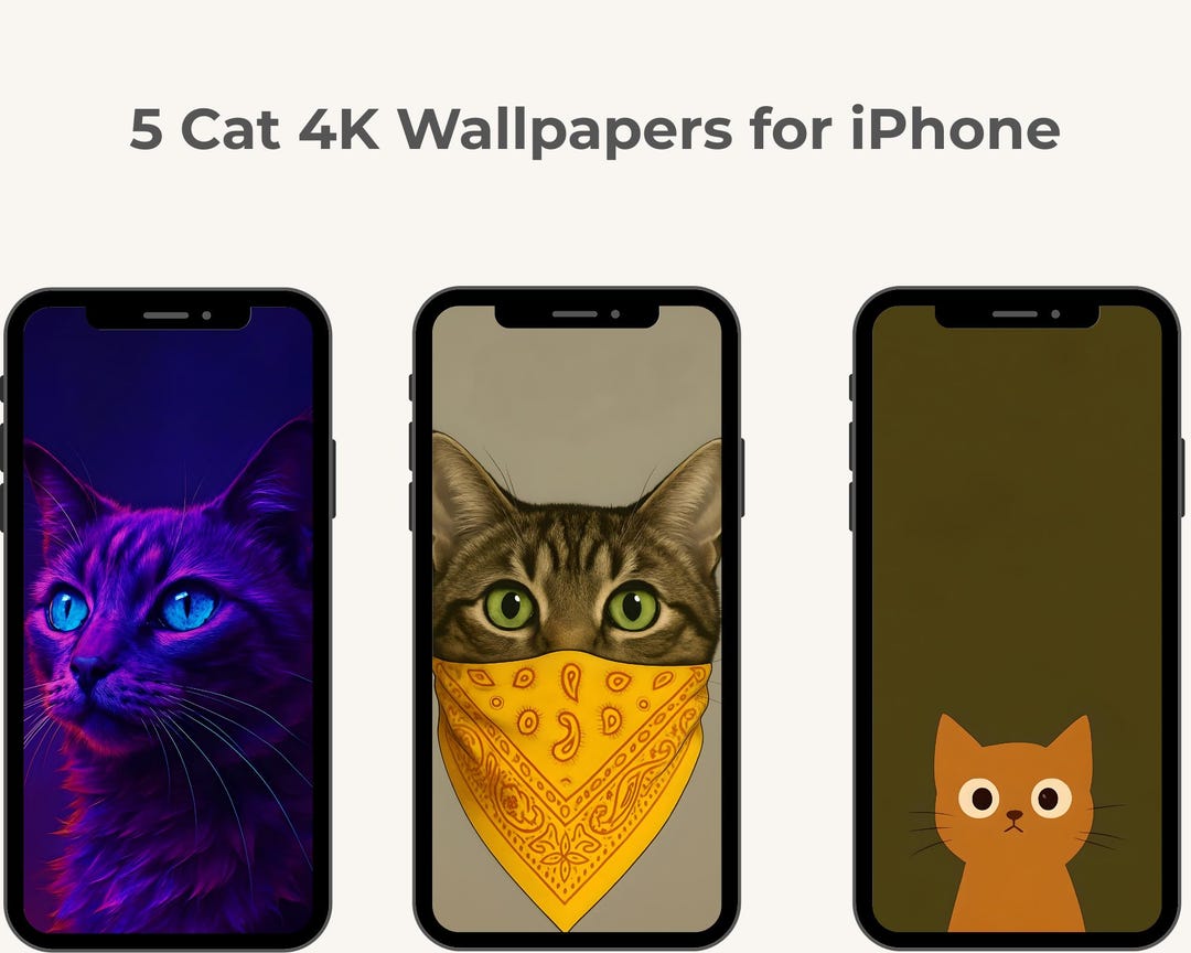 5 Cat Wallpapers 4K iPhone – Cute, Aesthetic & Minimal | Black Cat ...