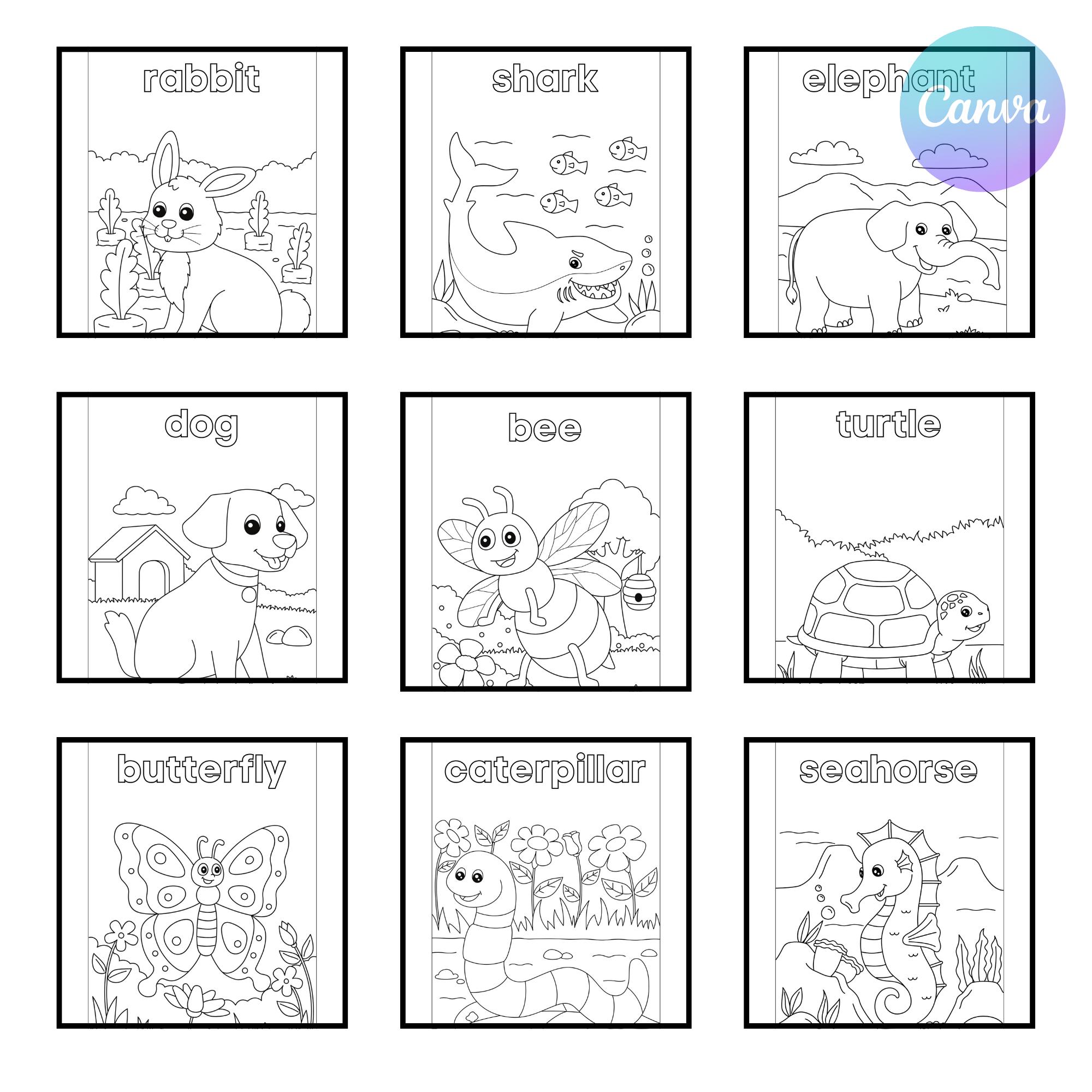 Animal Habitat Coloring Pages – Kids' Educational Activity (digital ...