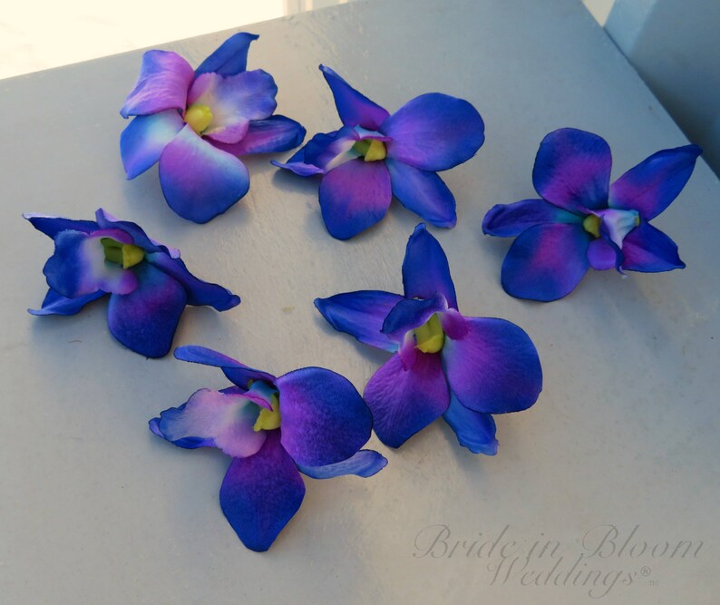 Blue Orchid Flowers Blue Orchids Wedding Decorations DIY Etsy