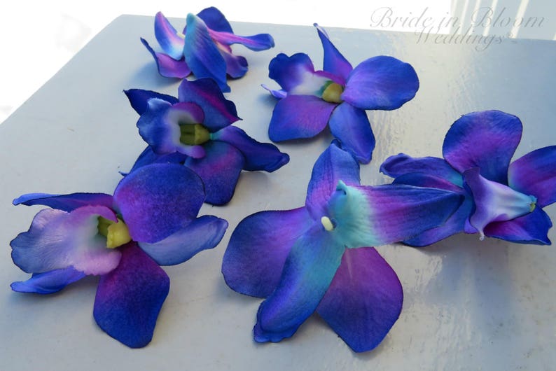Blue Orchid Flowers Blue Orchids Wedding Decorations DIY Etsy
