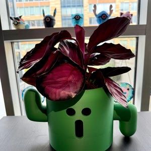 Cactaur Planter/Plant Pot