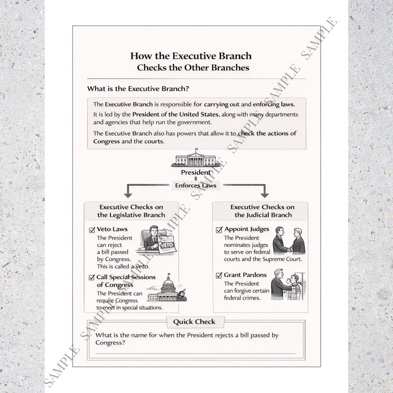 May include: Educational infographic detailing the checks and balances of the Executive Branch. The diagram includes text and illustrations explaining the President's role in enforcing laws, vetoing legislation, and appointing judges. The text includes the question: "What is the name for when the President rejects a bill passed by Congress?"