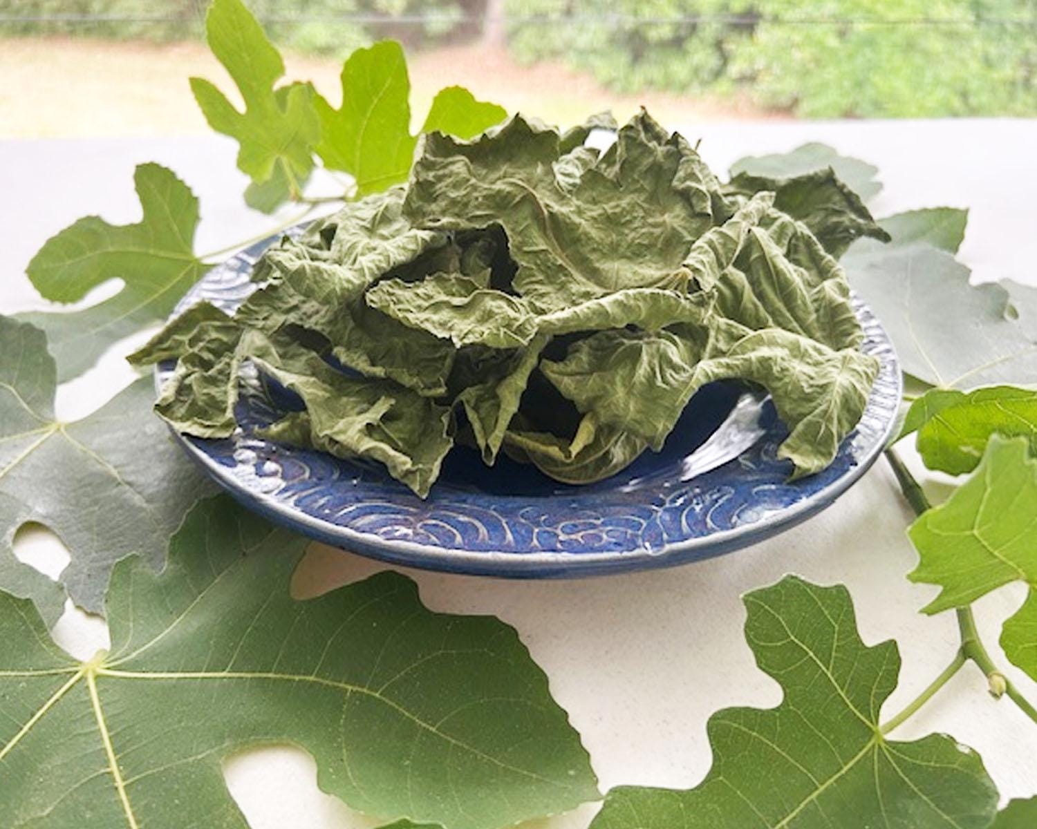 Organic Dried Fig Leaves For Tea, Cooking, Baking, & Potpourri