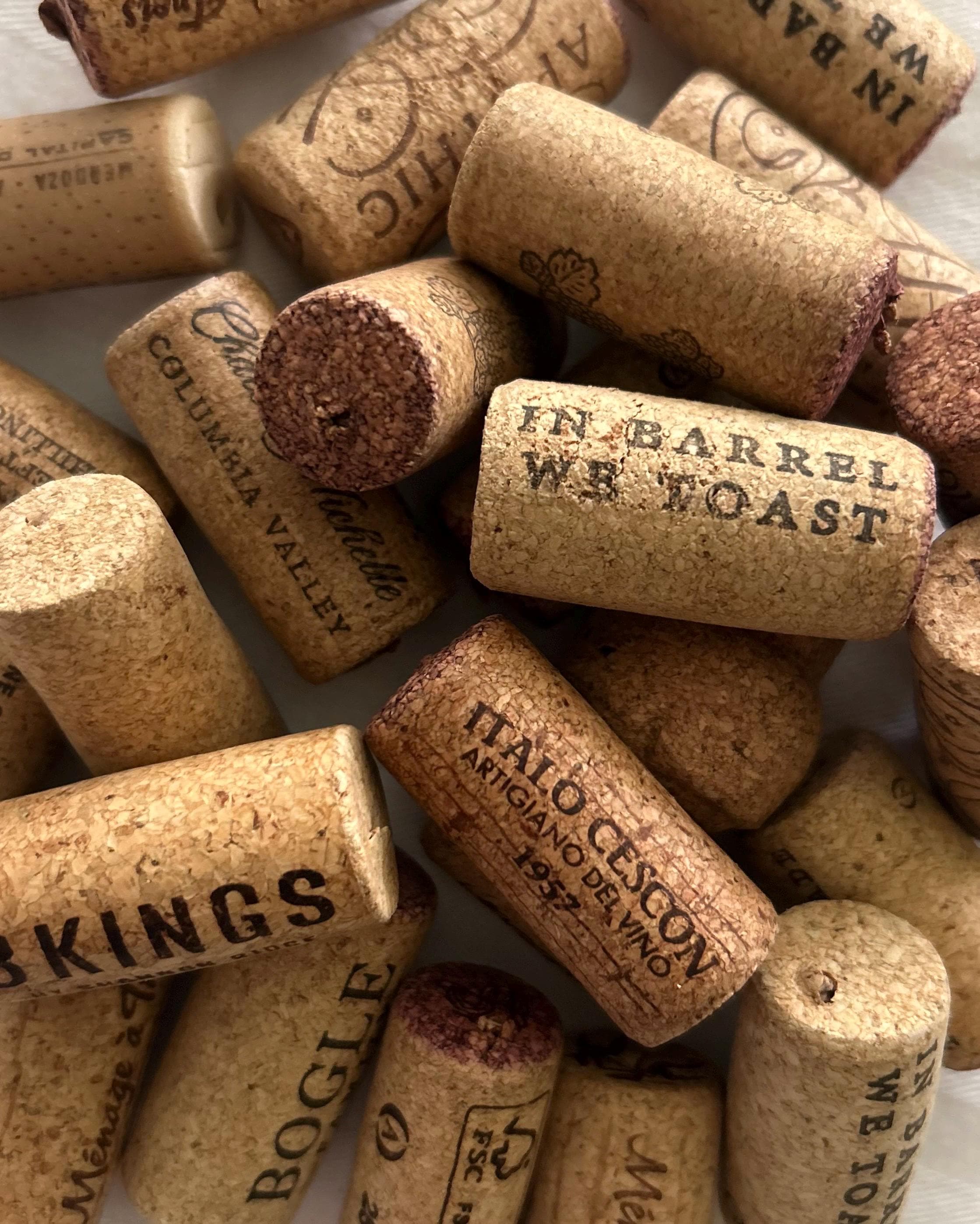 22 Creative Cork Crafts for Kids: Perfect For All Ages 8 Wine Corks -A variety of corks from all types of wine. Use them for…