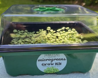 May include: A green microgreens grow kit with a clear plastic lid. The kit contains small, green seedlings. The label reads "microgreens Grow Kit" and "Organic Salad Mix". The kit is designed for growing microgreens indoors.