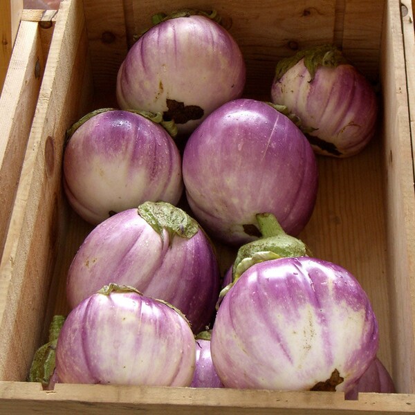 Purple Onions _ Kitchen Decor _Farmers Market  Print _ Vegetable Food Photography _ Kitchen Art