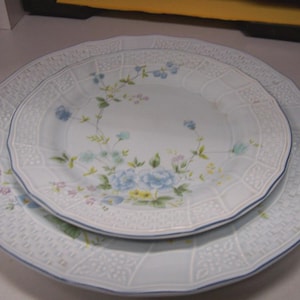 Large Rim Soup Bowl, Dinner Plate & Salad Plate - Michelle by MIKASA