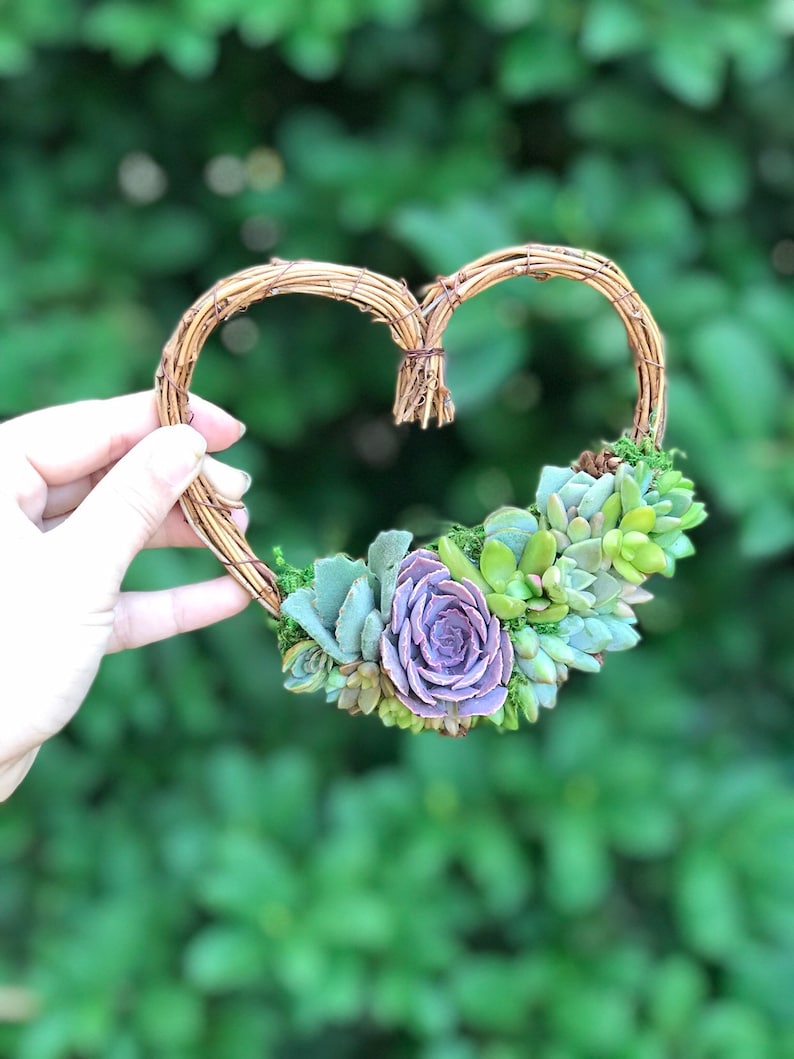 Made-to-Order 5 Living Succulent Heart Wreath
