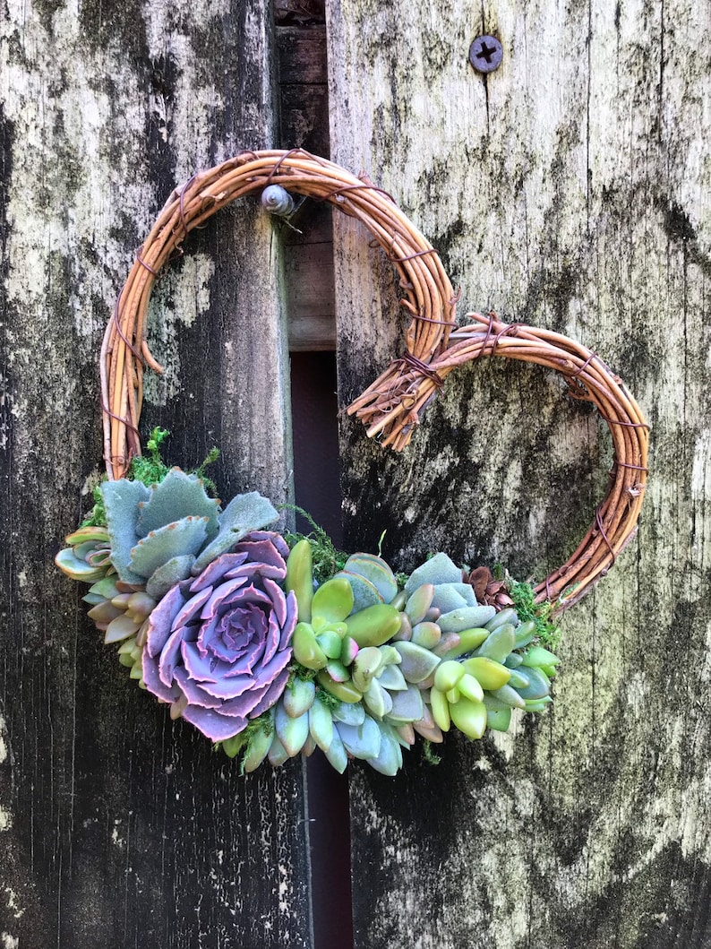 Made-to-Order 5 Living Succulent Heart Wreath