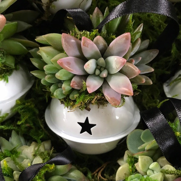 2.75" Succulent Jingle Bell Ornament (Made-to-Order)