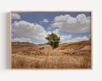Sicily Landscape Photography – Framed Italy Wall Art – Mediterranean Coastal Print