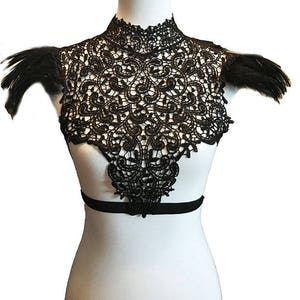 Deluxe Feather and Black Lace Harness Top
