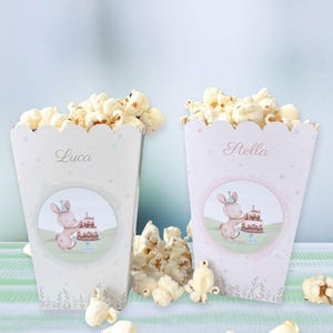 Scatola Pop Corn - Party Kit Primavera - Un kit ispirato alla bellezza della natura con colori pastello e atmosfere leggere