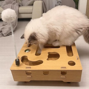 Interaktives Katzenspielzeug mit Ball | Zusammenklappbarer Haustier Spiel Tunnel | Crinkle Katzenspielzeug für Indoor Spielzeit & Bewegung
