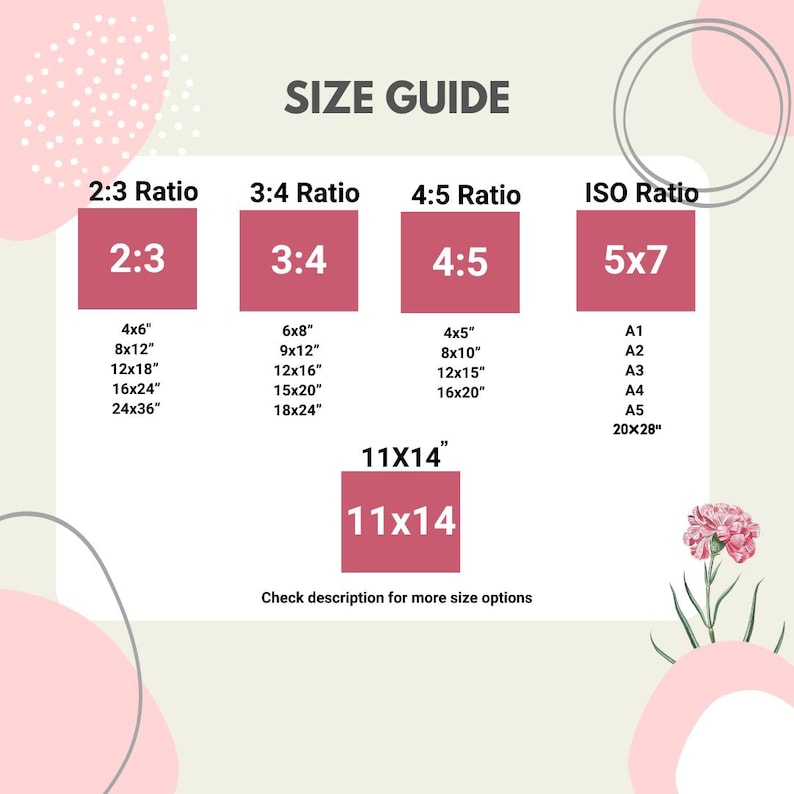 May include: A size guide chart showing aspect ratios like 2:3, 3:4, 4:5, and ISO 5x7. It lists common print sizes in inches, with metric equivalents, such as 10x15cm, 20x30cm, 30x45cm, 40x60cm, and 60x90cm. An 11x14 inch size is also shown.