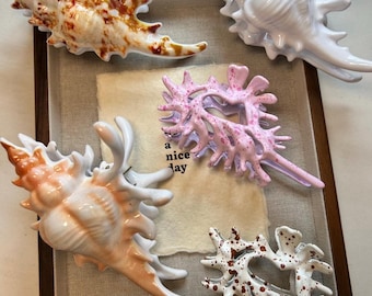 May include: Five hair clips shaped like spiky seashells in various colors. One is brown and white, one is solid white, one is peach and white, one is pink with white speckles, and one is white with brown speckles. A small card reads a nice day.