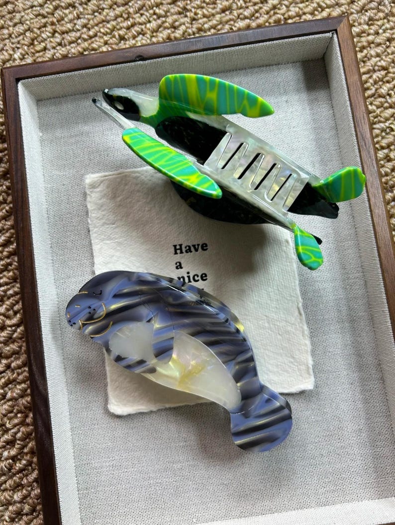 May include: Two decorative hair clips in a shadow box. One clip is a green and yellow sea turtle, the other is a blue and white dolphin. A small piece of paper with the words "Have a nice" is between the clips.