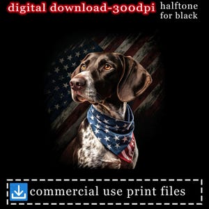 May include: Digital download of a German Shorthaired Pointer wearing a bandana with an American flag design. The background features a distressed American flag. Text includes "digital download-300dpi", "halftone for black", and "commercial use print files."
