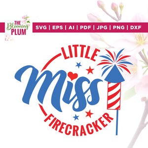 Little Miss Firecracker SVG, Firecracker Plotterdatei, Cricut, Sublimation, Little Mister SVG, American Girl Boy Shirt, Kid Shirt Shirt, 4. Juli Shirt