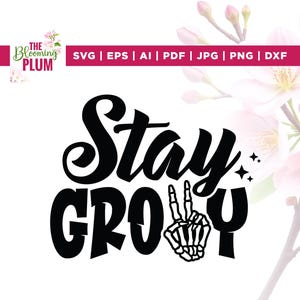 Stay Groovy svg, Cricut, sublimation, Groovy svg, svg designs, shirts svg, Commercial Use svg, digital image, Silhouette, Cut file, Vinyl