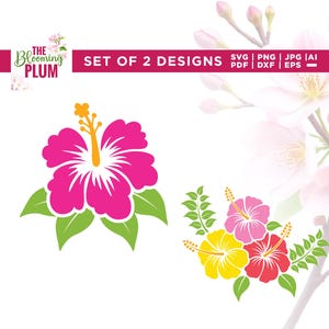 Hibiscus Flower svg, Hibiscus clipart, Hibiscus flowers, Cricut, sublimation, Hibiscus svg Bundle, Hawaiian Flower svg, Hibiscus svg, Flower