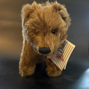May include: A brown teddy bear with a black nose and dark eyes. The bear has a tag attached to its ear. The bear is standing on a dark surface.