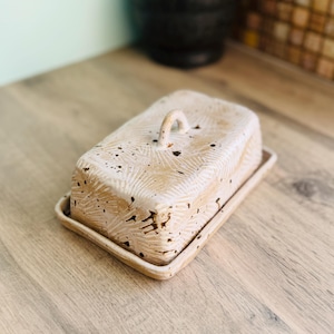 May include: A rectangular ceramic butter dish with a lid featuring a small arched handle. The surface is off-white with a textured, carved sunburst pattern and dark brown speckles throughout the exterior of the lid and the base tray.
