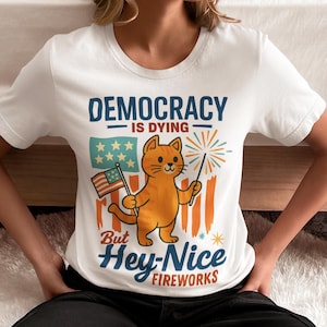 Funny Political Cat png - Democracy Is Dying But Hey Nice Fireworks - 4 juli png - Patriotic Meme, png- kat van 4 juli, png