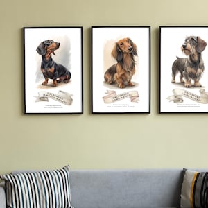May include: Three framed prints with watercolour illustrations of dachshunds. Each print depicts a different coat type: smooth-haired, long-haired, and wire-haired. Text identifies the breed and coat type on each print.