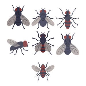 May include: Seven illustrations of flies in various poses. Each fly has a dark blue body, red eyes, and grey wings. Some have red and black striped abdomens. The flies are set against a white background, creating a simple, clean design.