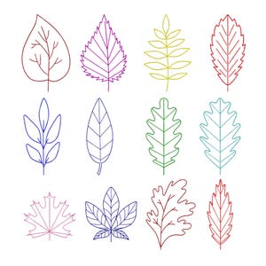 Leaves Embroidery Machine Design, Oak Maple Elm Tree Leaf Line Art Embroidery Files, Autumn Botanical Outline, Instant Digital Download