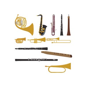 Può includere: Una collezione di vari strumenti a fiato, tra cui un corno francese, un sassofono, una tromba, un trombone, un clarinetto, un flauto e un oboe. Gli strumenti sono in oro, nero, marrone e bordeaux, su sfondo bianco.