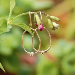 May include: A pair of gold hoop earrings with a small diamond accent on each hoop. The earrings are hanging from a green plant.