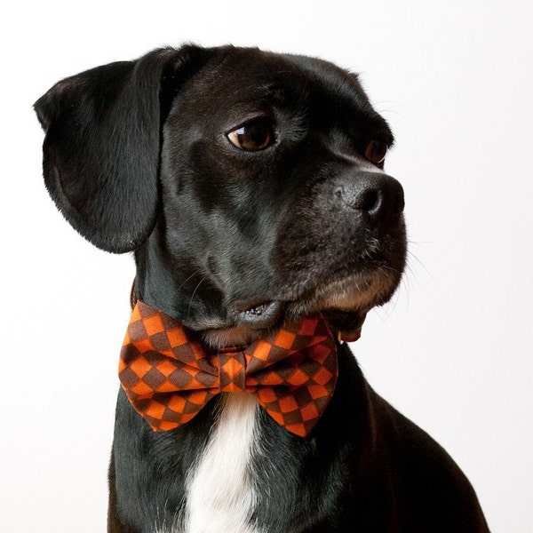 Pumpkin Checks Bow tie Dog Collar