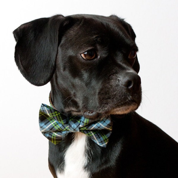 Navy Blue Tartan Dog Bow Tie Collar