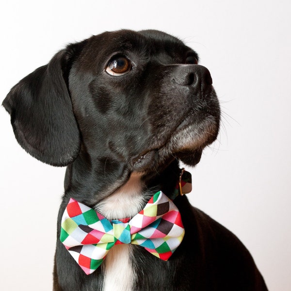 Colorful Cubes Dog Bow Tie Collar