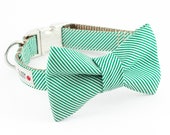 Green Pinstripe Bowtie Dog Collar