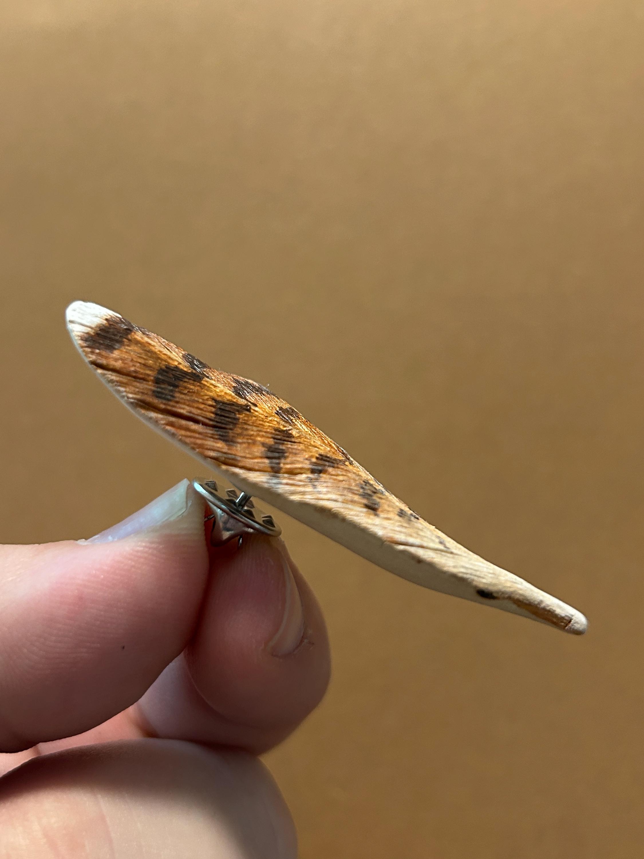 Crescent Hawk Pin Red Tailed Hawk Feather Pin Hand Wood Carved Hand Painted - Etsy