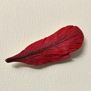 May include: A vibrant red feather with a textured surface, lying on a white background. The feather's color transitions from a deep burgundy at the base to a bright red at the tip. The feather's shape is elongated and curved.