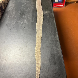 May include: A long, shed snake skin featuring a detailed, translucent, and textured scale pattern in shades of beige, tan, and light brown. The skin is elongated, narrow, and displays a consistent, intricate diamond-like texture throughout its entire length.