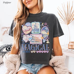 May include: Dark gray t-shirt with a colorful graphic featuring various theme park images, including a castle and a monorail. The text "MAGICAL PLACE ON EARTH" is printed in blue and pink. The shirt has a crew neck and short sleeves.