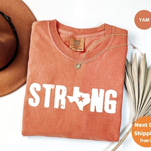 Pray For Texas Shirt, Texas Strong Flood Disaster Relief Comfort Colors® T-Shirt, Hill Country Flooding Survivor Tee, Texas Strong Shirt