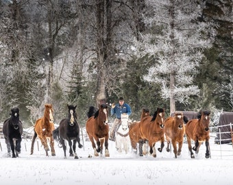 Horse Herd l Winter Snow Scene l Montana l Rodeo Ranch Life l Cowboy Wrangler l Mountains l Farmhouse Cabin Decor l Fine Art Photography